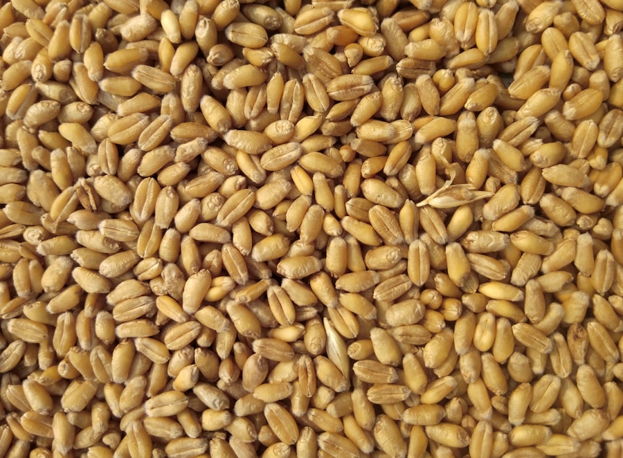 Siyez Bulgur