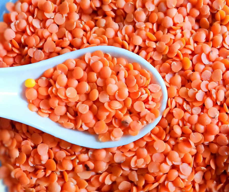 Red Lentils