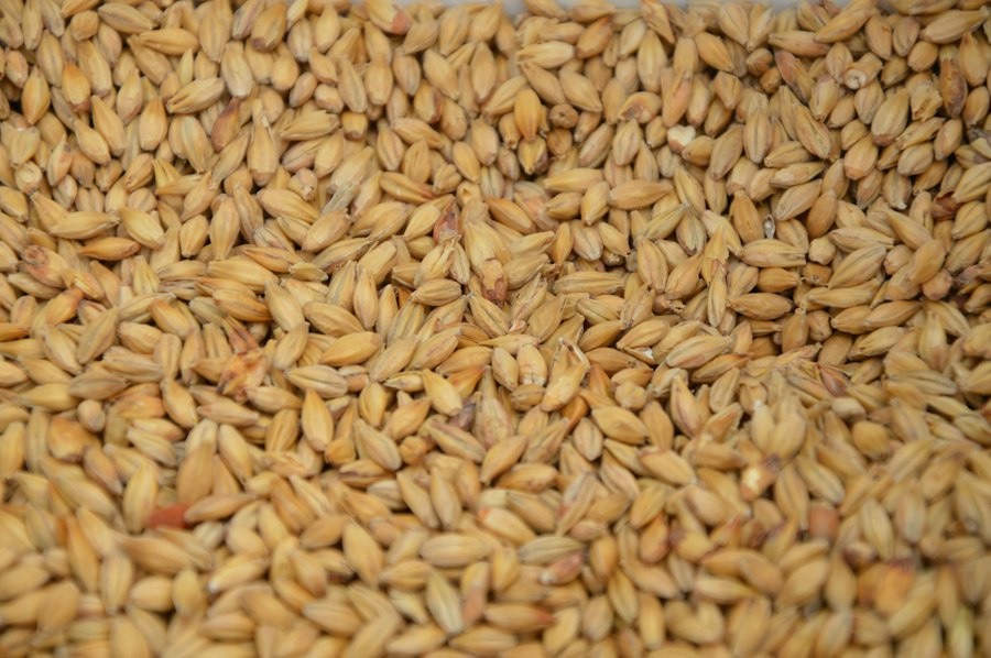 Freekeh Bulgur
